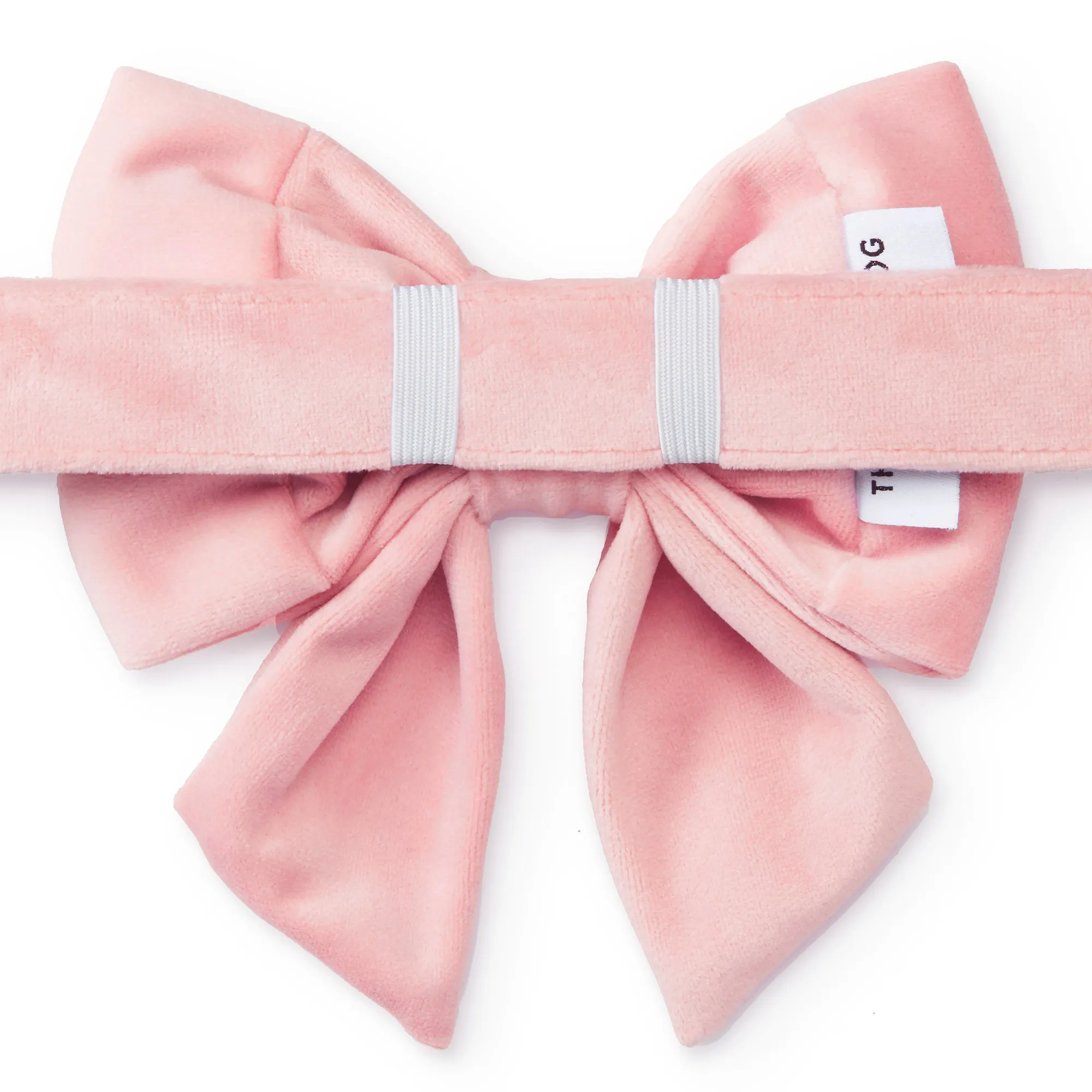 Blush Pink Velvet Lady Dog Bow