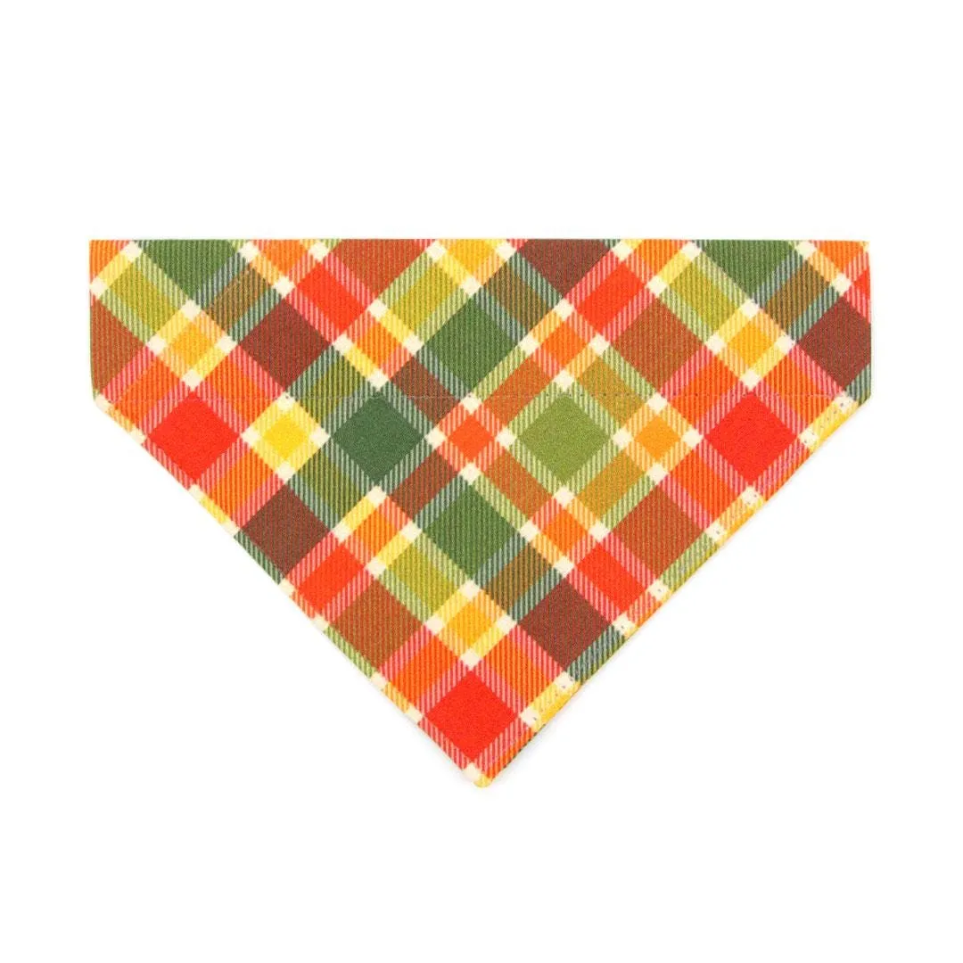 Cat Bandana - "Apple Crisp" - Red Yellow & Green Plaid Bandana for Cat   Small Dog / Fall   Thanksgiving / Slide-On Over the Collar Bandana