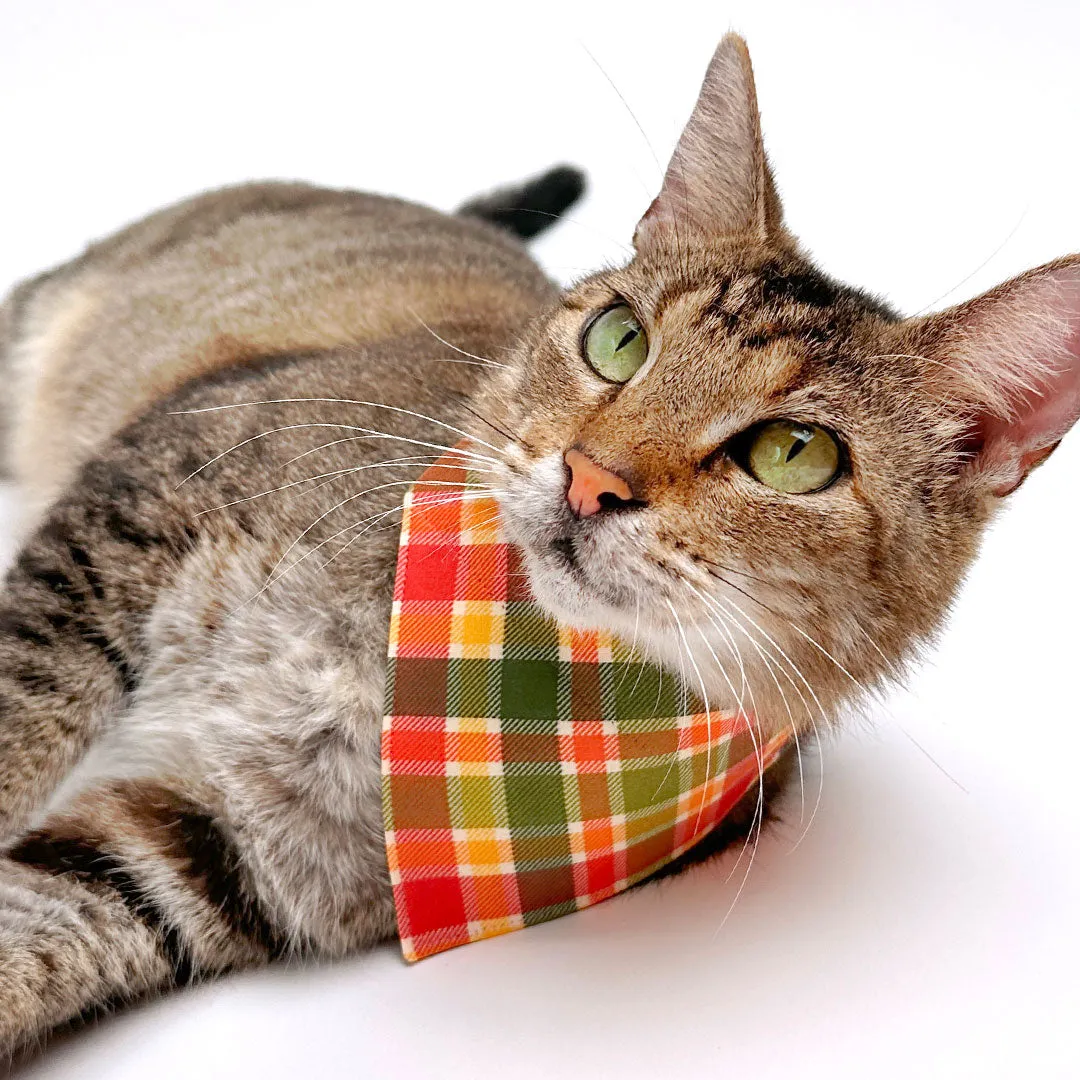 Cat Bandana - "Apple Crisp" - Red Yellow & Green Plaid Bandana for Cat   Small Dog / Fall   Thanksgiving / Slide-On Over the Collar Bandana