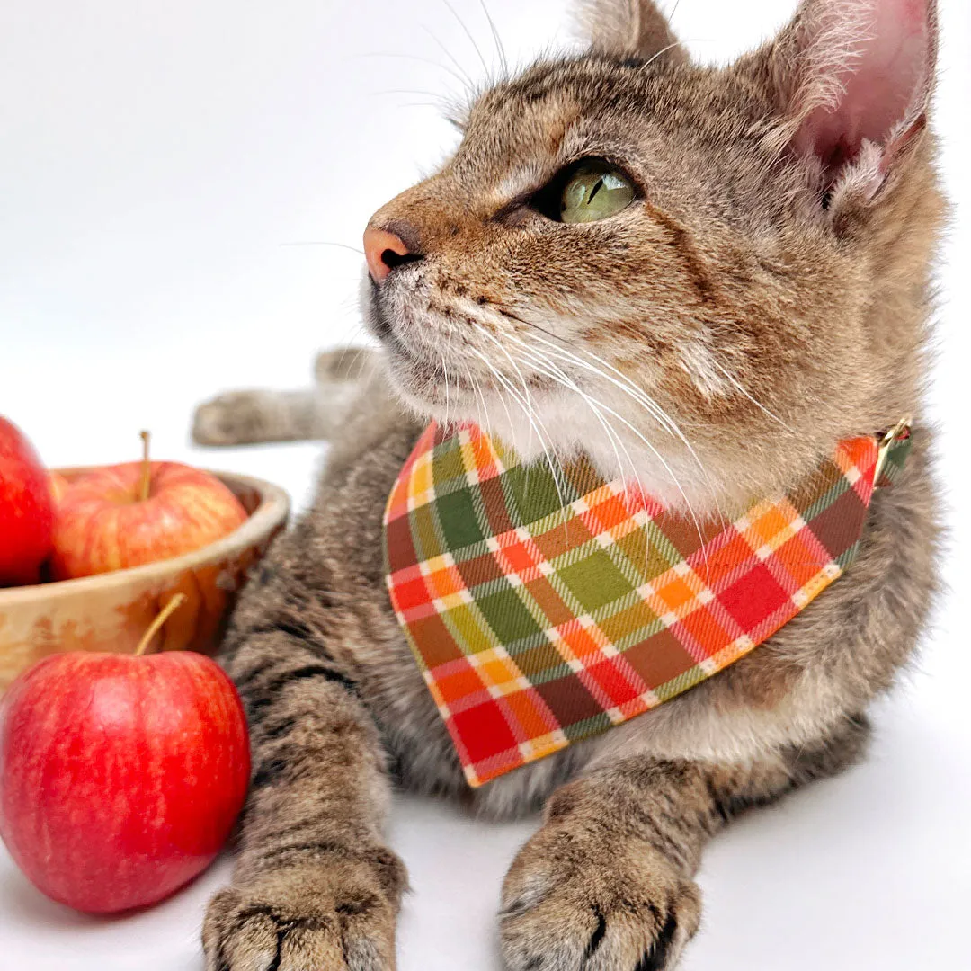 Cat Bandana - "Apple Crisp" - Red Yellow & Green Plaid Bandana for Cat   Small Dog / Fall   Thanksgiving / Slide-On Over the Collar Bandana