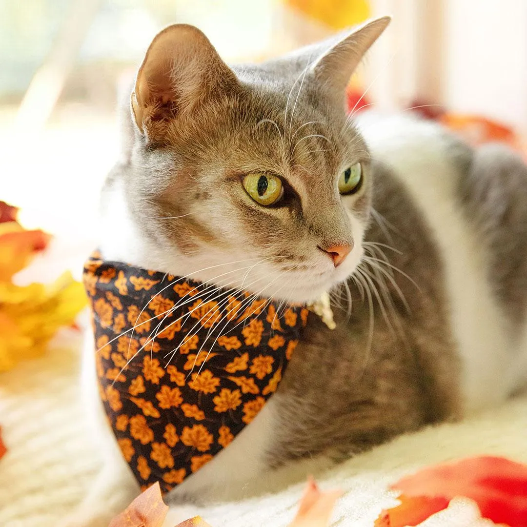 Cat Bandana - "Autumn Night" - Black Orange Maple Leaf Bandana for Cat   Small Dog / Fall, Halloween, Thanksgiving / Slide-On Over the Collar Bandana