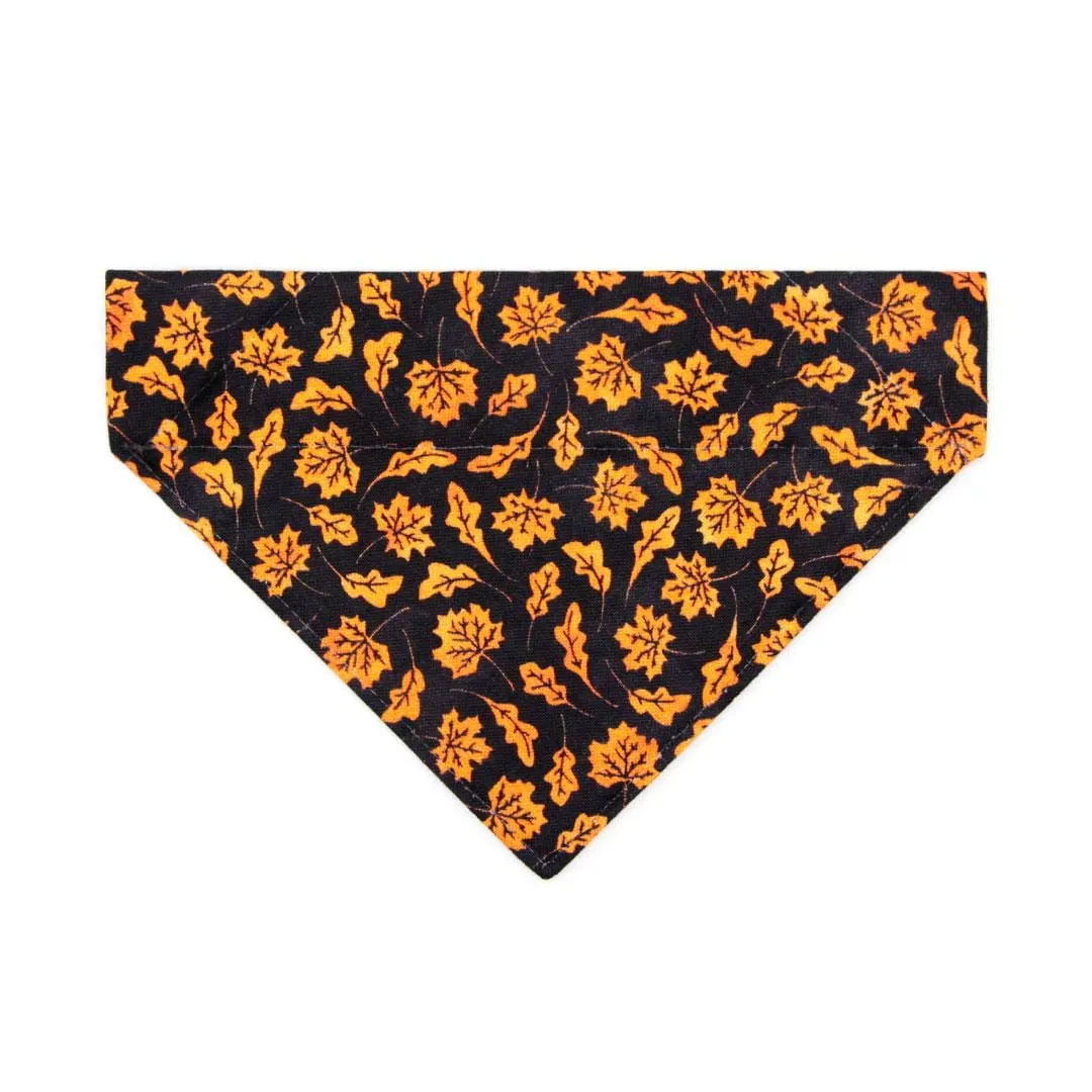 Cat Bandana - "Autumn Night" - Black Orange Maple Leaf Bandana for Cat   Small Dog / Fall, Halloween, Thanksgiving / Slide-On Over the Collar Bandana