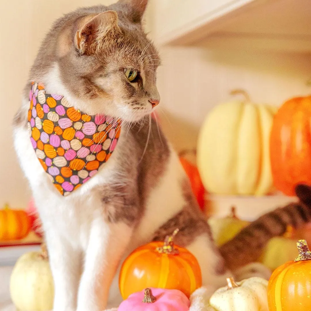 Cat Bandana - "Pumpkin Toss" - Halloween Orange Pink Pumpkin Bandana for Cat   Small Dog / Fall   Halloween / Slide-On Over the Collar Bandana