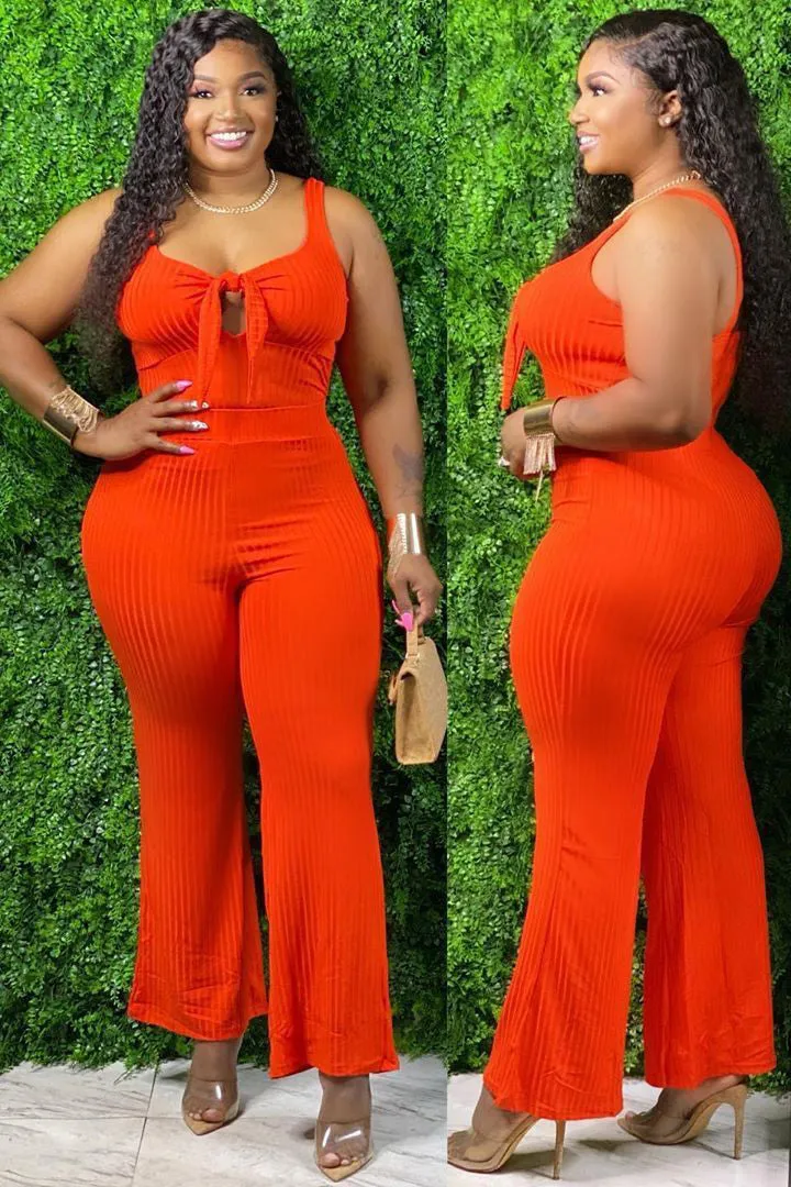 Chic Plus Size Jumpsuit