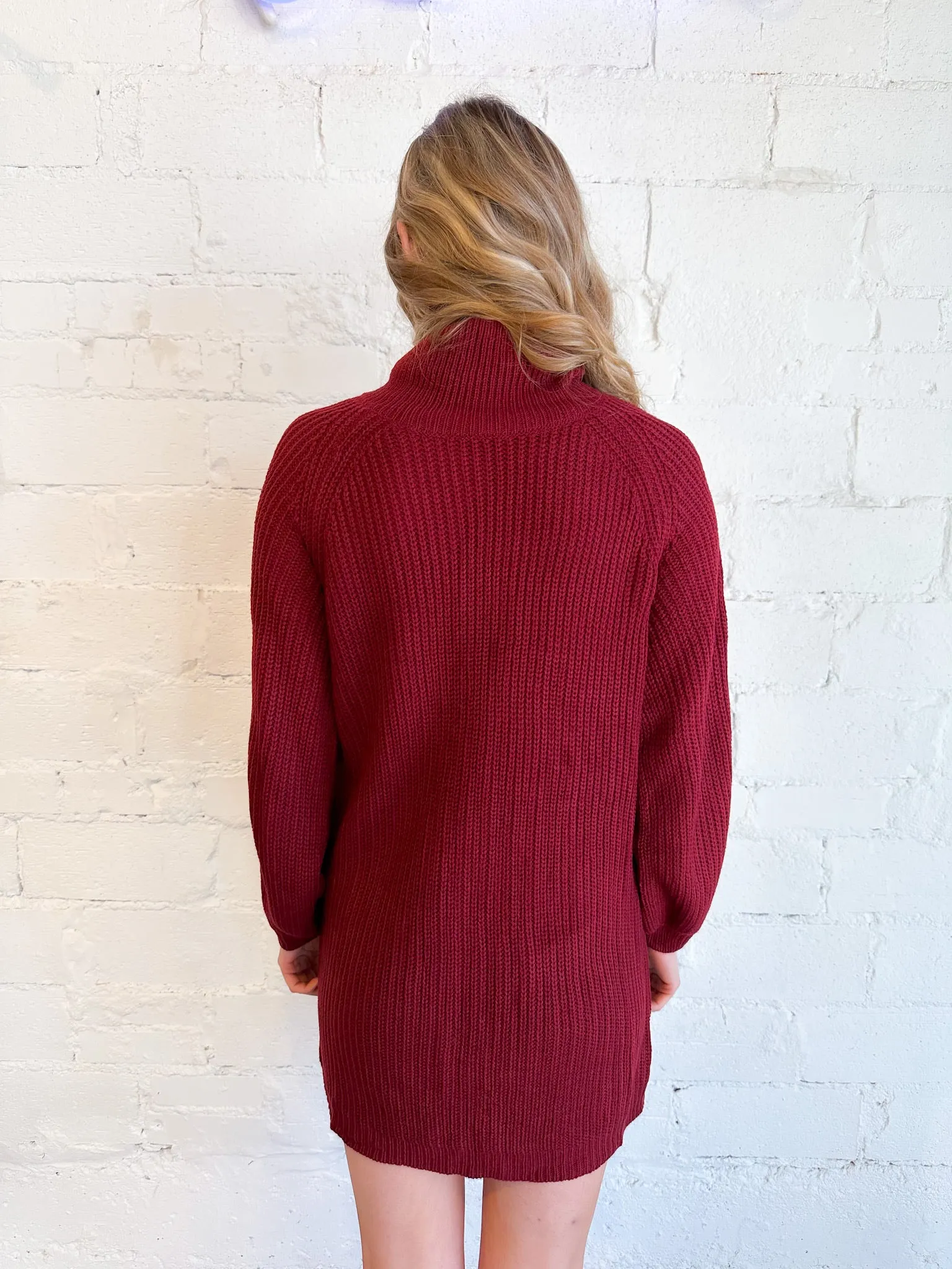 Keep Cozy Turtleneck Sweater Dress