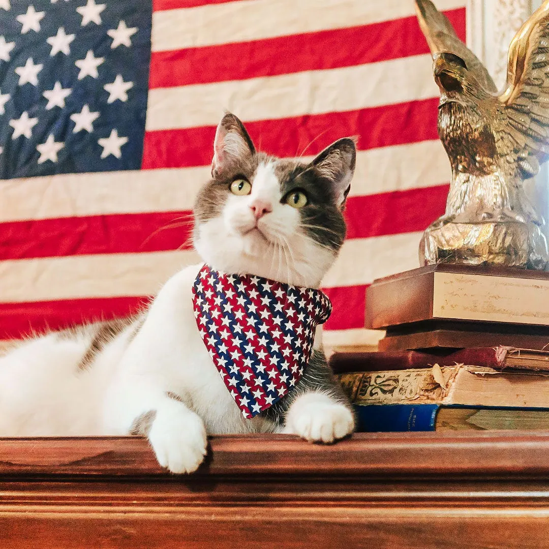 Patriotic Cat Bandana - "Americana" - Stars & Stripes Bandana for Cat   Small Dog / Independence Day / Slide-on Bandana / Over-the-Collar (One Size)