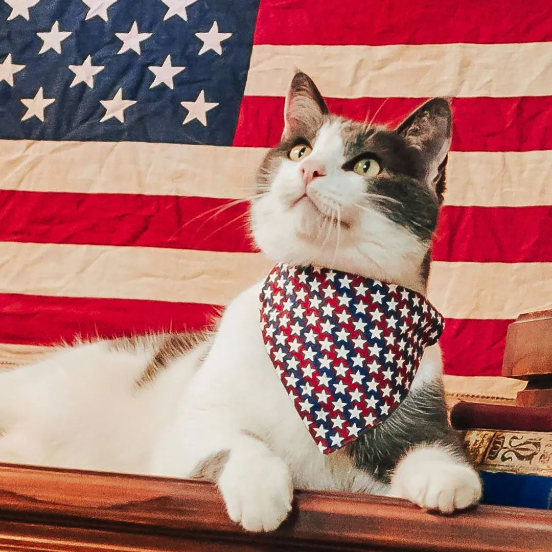 Patriotic Cat Bandana - "Americana" - Stars & Stripes Bandana for Cat   Small Dog / Independence Day / Slide-on Bandana / Over-the-Collar (One Size)