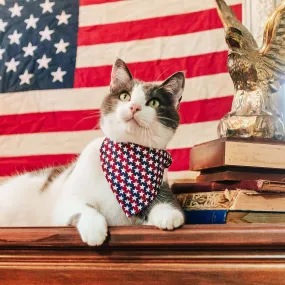 Patriotic Cat Bandana - "Americana" - Stars & Stripes Bandana for Cat   Small Dog / Independence Day / Slide-on Bandana / Over-the-Collar (One Size)