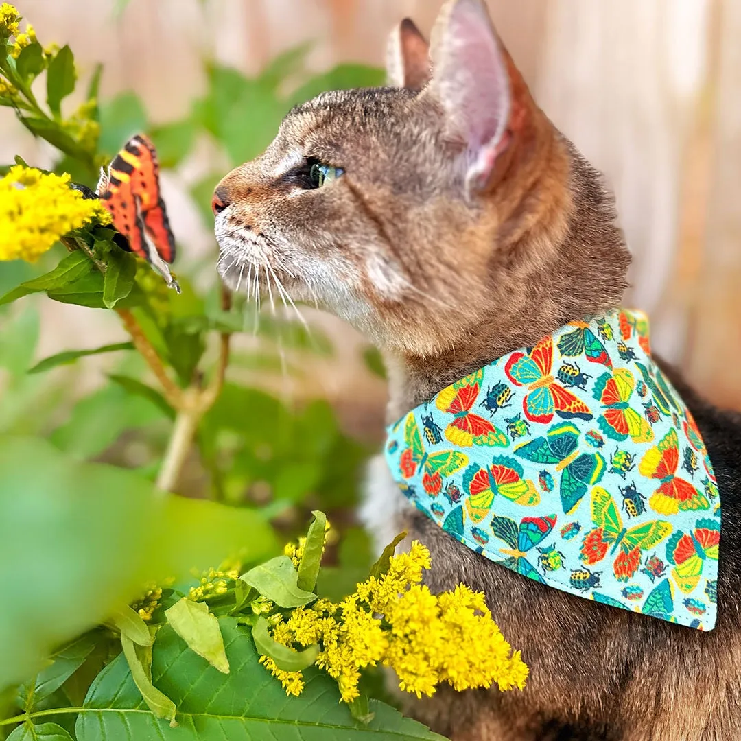 Pet Bandana - "Bugs & Butterflies" - Sky Blue Insect   Butterfly Bandana for Cat   Small Dog / Spring   Summer / Slide-on Bandana / Over-the-Collar (One Size)