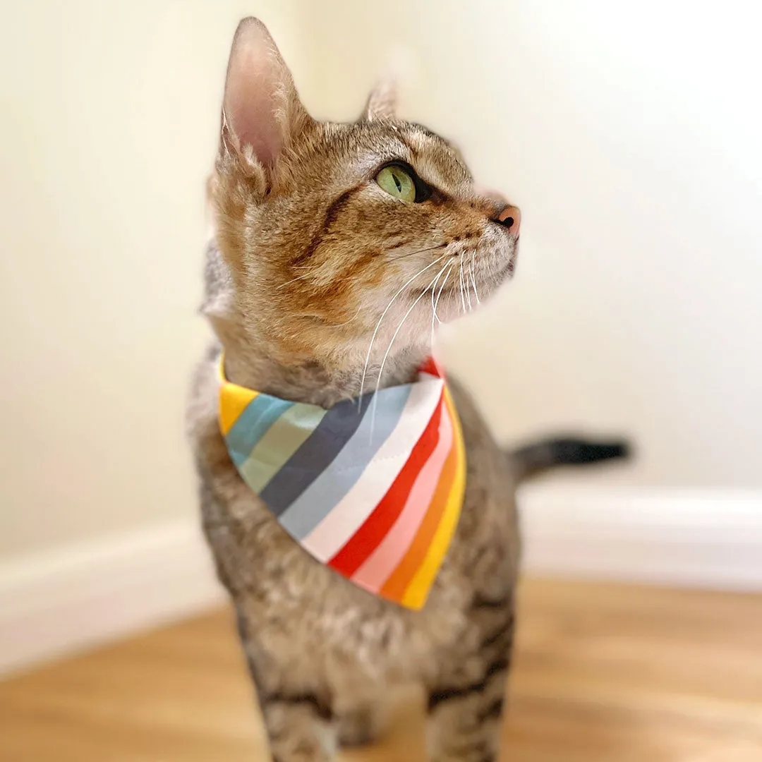 Pet Bandana - "Carousel" - Striped Rainbow Bandana for Cat   Small Dog / Summer, Birthday, LGBTQ / Slide-on Bandana / Over-the-Collar (One Size)