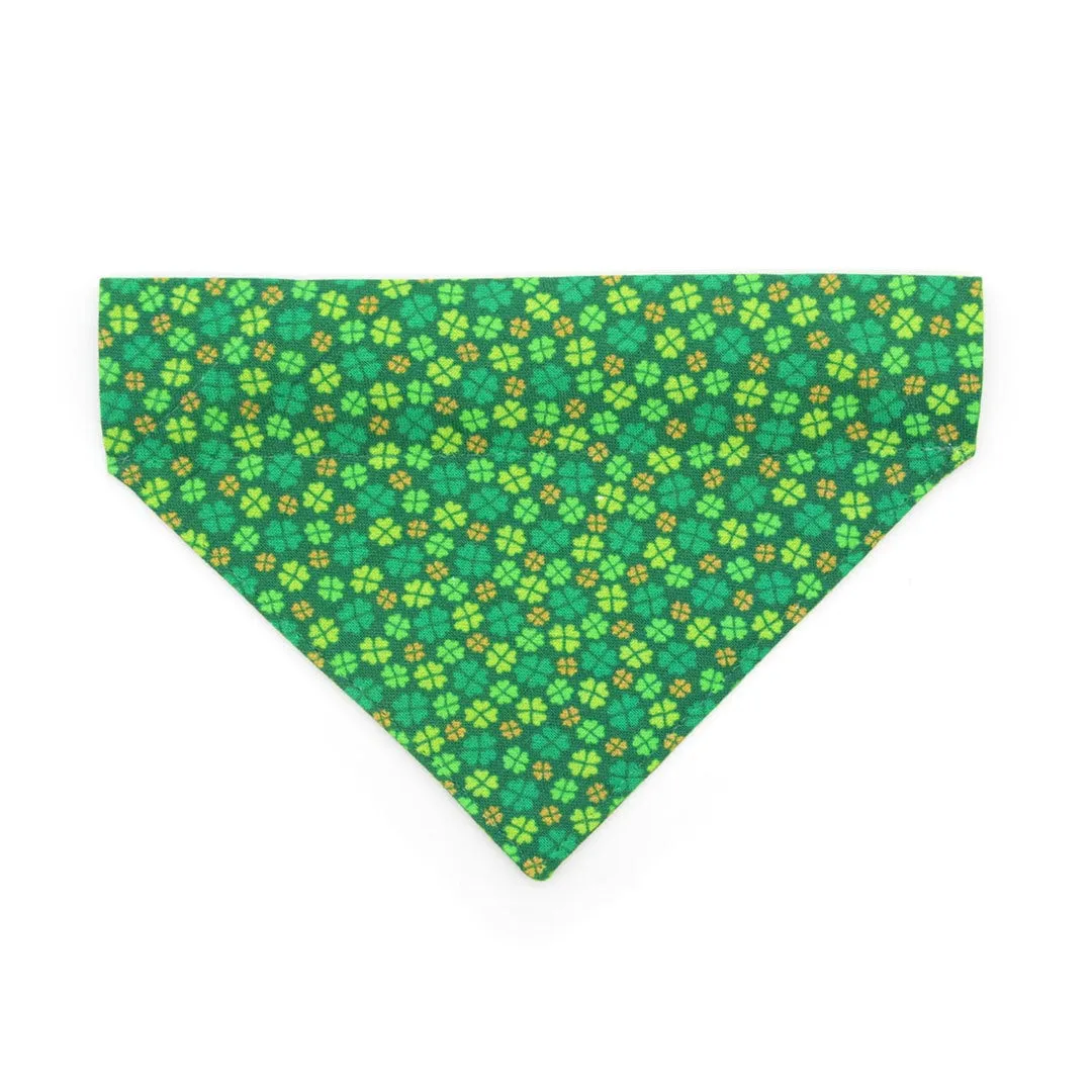 Pet Bandana - "Clover Leaf" - St. Patrick's Day Bandana for Cat   Small Dog / Shamrock, Green, Lucky, Irish / Slide-on Bandana / Over-the-Collar (One Size)