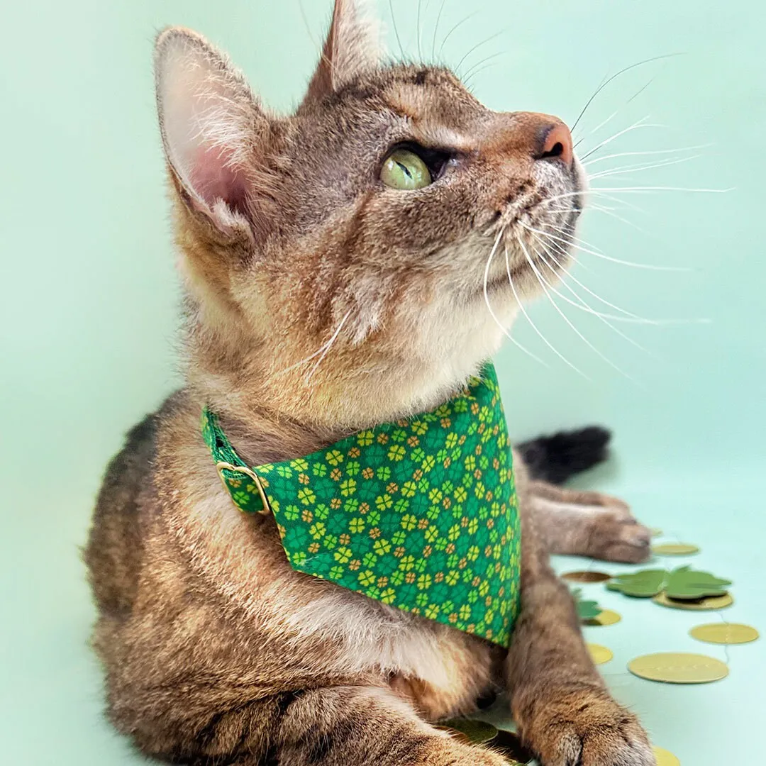 Pet Bandana - "Clover Leaf" - St. Patrick's Day Bandana for Cat   Small Dog / Shamrock, Green, Lucky, Irish / Slide-on Bandana / Over-the-Collar (One Size)