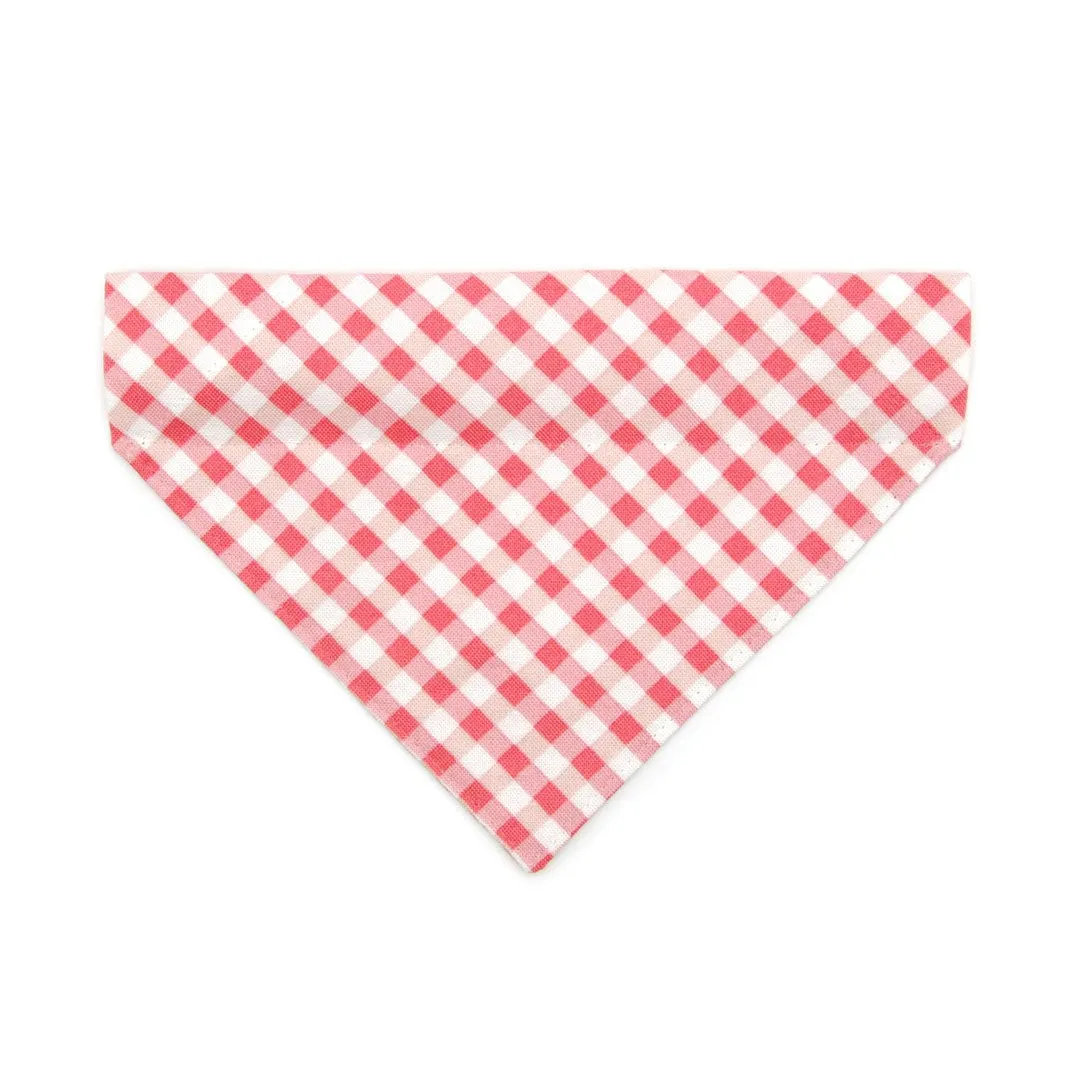 Pet Bandana - "Coquette" - Gingham Pink Bandana for Cat   Small Dog / Spring, Easter, Summer / Slide-on Bandana / Over-the-Collar (One Size)