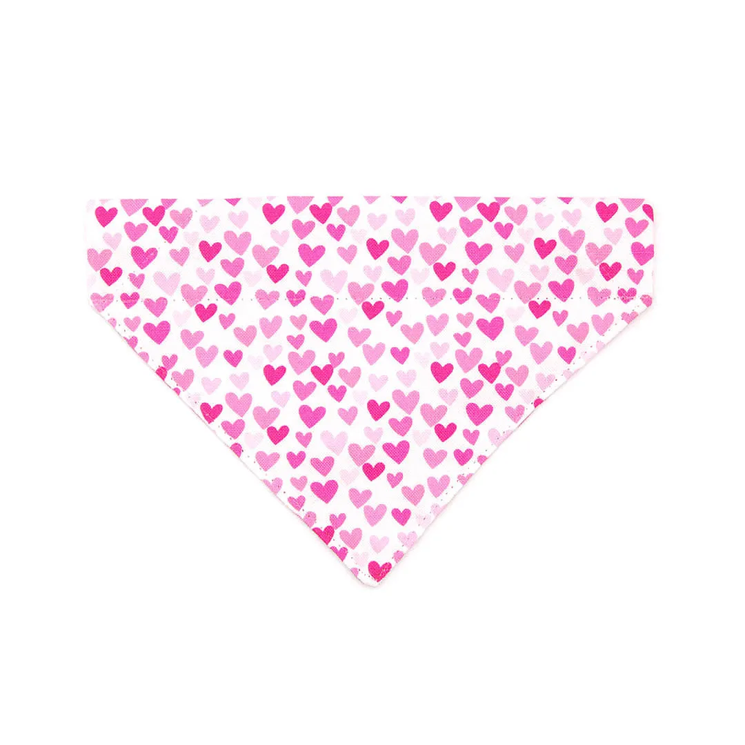 Pet Bandana - "Darling" - Fuchsia Pink Heart Bandana for Cat   Small Dog / Valentine's Day Cat Bandana / Slide-on Bandana / Over-the-Collar (One Size)