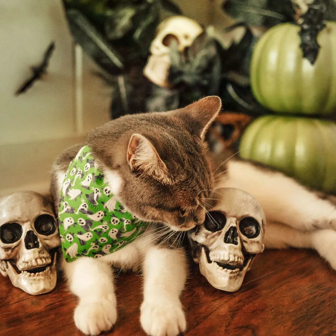 Pet Bandana - "Ghostly Gathering" - Halloween Green Ghost Bandana for Cat   Small Dog / Skulls, Haunted Graveyard, Cemetery / Slide-on Bandana / Over-the-Collar (One Size)