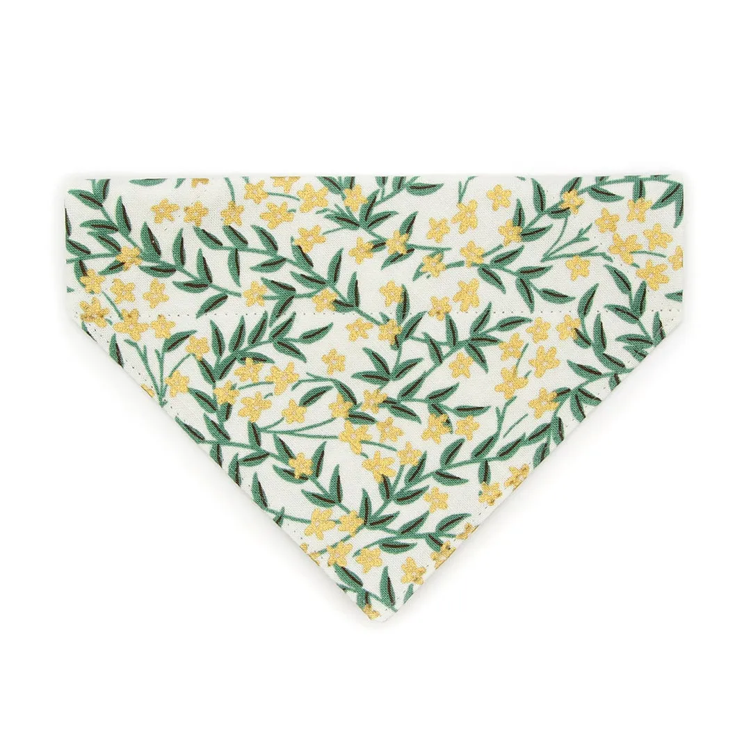 Pet Bandana - "Golden Vine" - Rifle Paper Co® Green Leaf Bandana for Cat   Small Dog / Slide-on Bandana / Over-the-Collar (One Size)