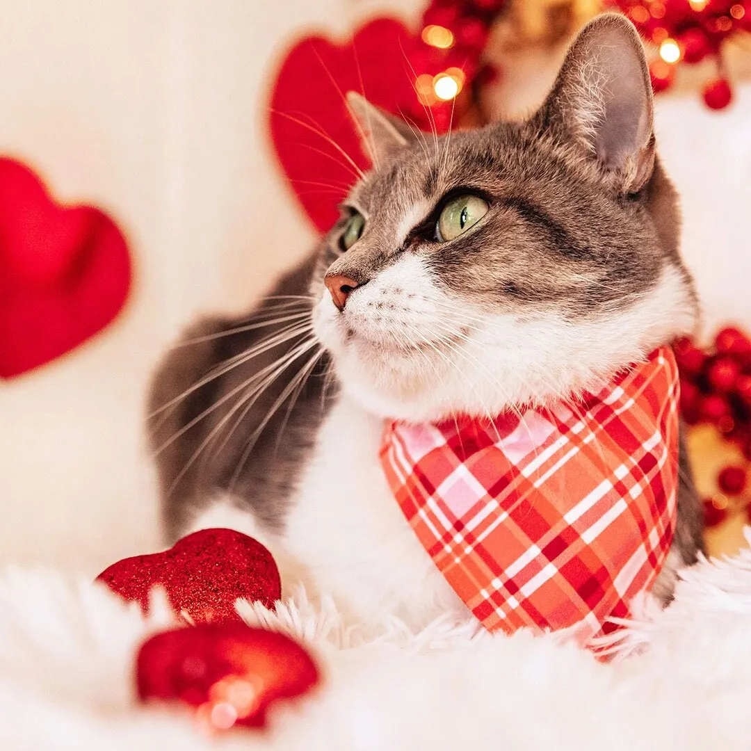 Pet Bandana - "Hot Date" - Pink & Red Plaid Bandana for Cat   Small Dog / Valentine's Day / Slide-on Bandana / Over-the-Collar (One Size)