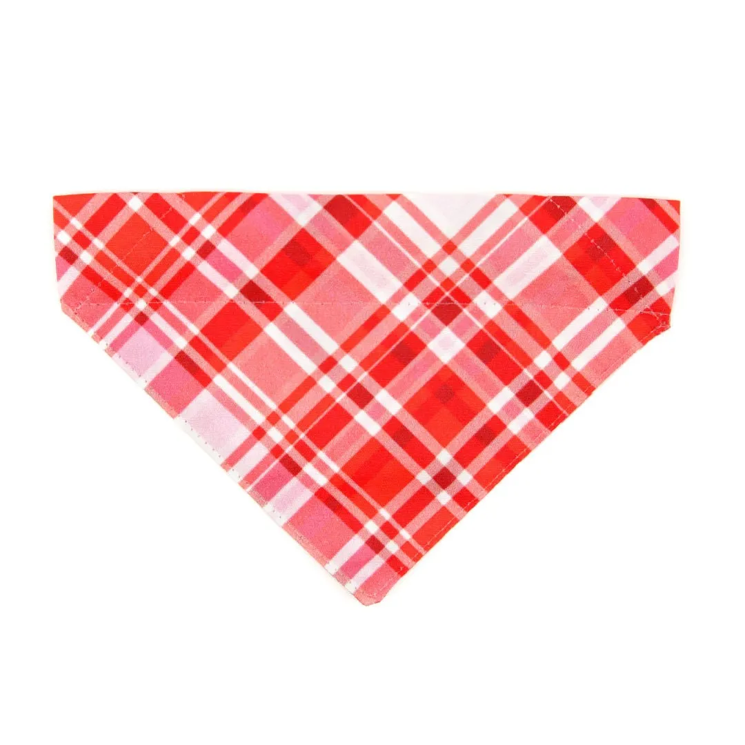 Pet Bandana - "Hot Date" - Pink & Red Plaid Bandana for Cat   Small Dog / Valentine's Day / Slide-on Bandana / Over-the-Collar (One Size)