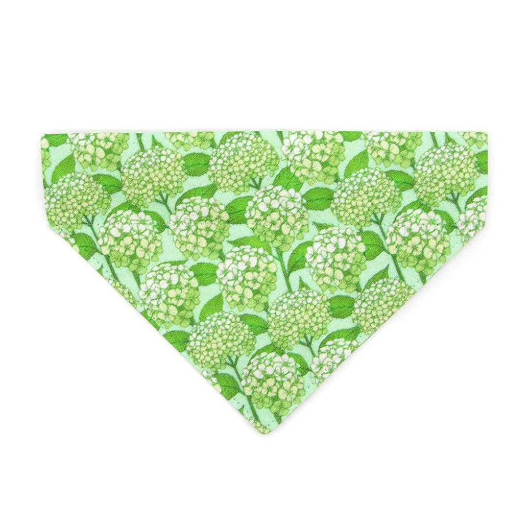 Pet Bandana - "Hydrangea Hill" - Botanical Green Bandana for Cat   Small Dog / Spring   Summer Floral / Slide-on Bandana / Over-the-Collar (One Size)