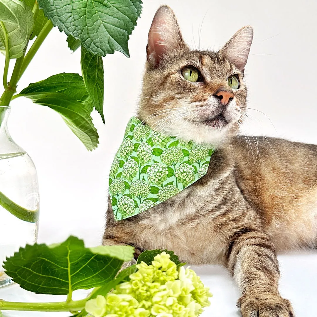 Pet Bandana - "Hydrangea Hill" - Botanical Green Bandana for Cat   Small Dog / Spring   Summer Floral / Slide-on Bandana / Over-the-Collar (One Size)