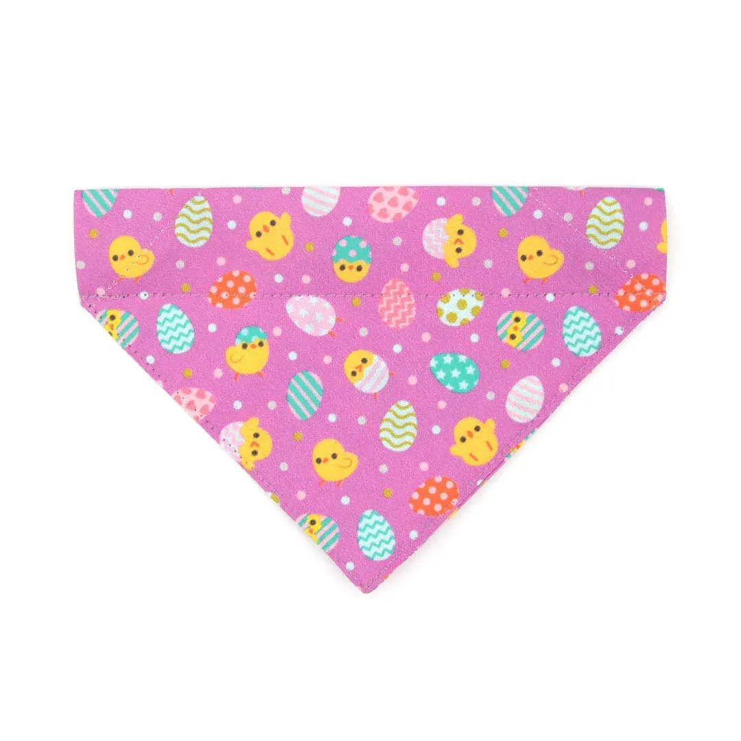 Pet Bandana - "Just Hatched" - Baby Chicks & Easter Eggs Bandana for Cat   Small Dog / Easter / Slide-on Bandana / Over-the-Collar (One Size)