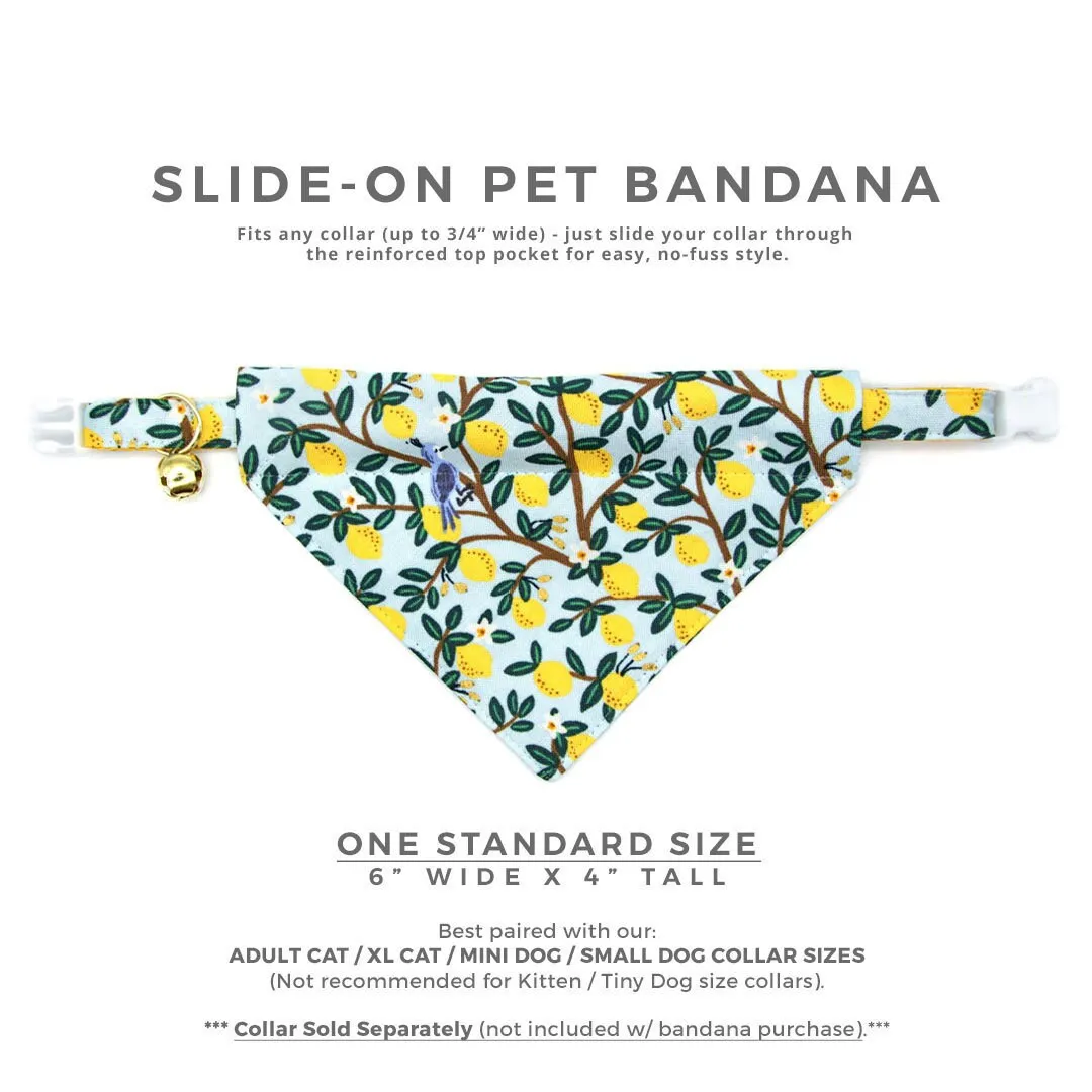 Pet Bandana - "Lemon Drops" - Rifle Paper Co® Light Blue & Lemon Bandana for Cat   Small Dog / Spring   Summer / Slide-on Bandana / Over-the-Collar (One Size)