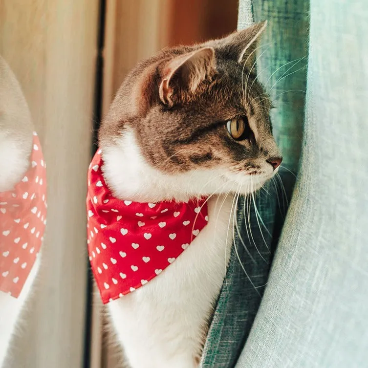 Pet Bandana - "Love Song" - Valentine's Day Red Heart Bandana for Cat Collar or Small Dog Collar / Slide-on Bandana / Over-the-Collar (One Size)