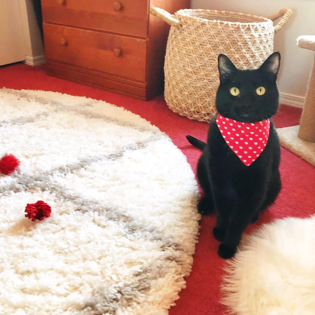 Pet Bandana - "Love Song" - Valentine's Day Red Heart Bandana for Cat Collar or Small Dog Collar / Slide-on Bandana / Over-the-Collar (One Size)