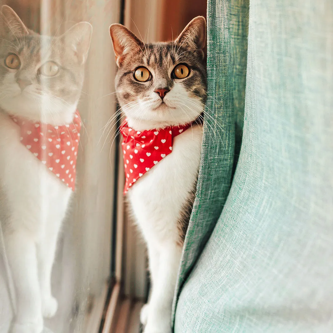 Pet Bandana - "Love Song" - Valentine's Day Red Heart Bandana for Cat Collar or Small Dog Collar / Slide-on Bandana / Over-the-Collar (One Size)