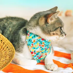 Pet Bandana - "Ocean Life" - Aquatic Fish Bandana for Cat   Small Dog / Summer, Beach, Sea, Marine / Slide-on Bandana / Over-the-Collar (One Size)