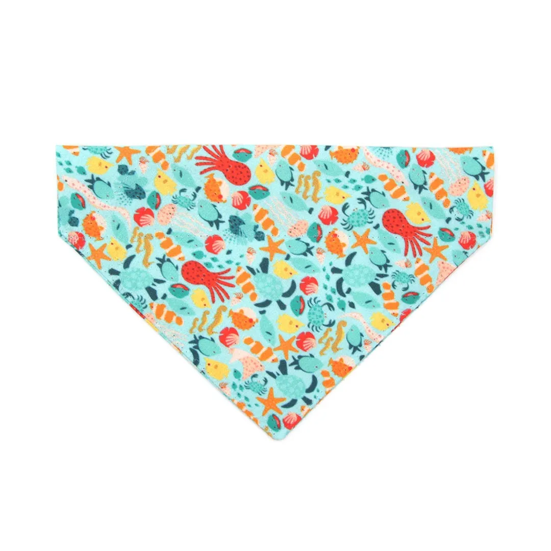 Pet Bandana - "Ocean Life" - Aquatic Fish Bandana for Cat   Small Dog / Summer, Beach, Sea, Marine / Slide-on Bandana / Over-the-Collar (One Size)