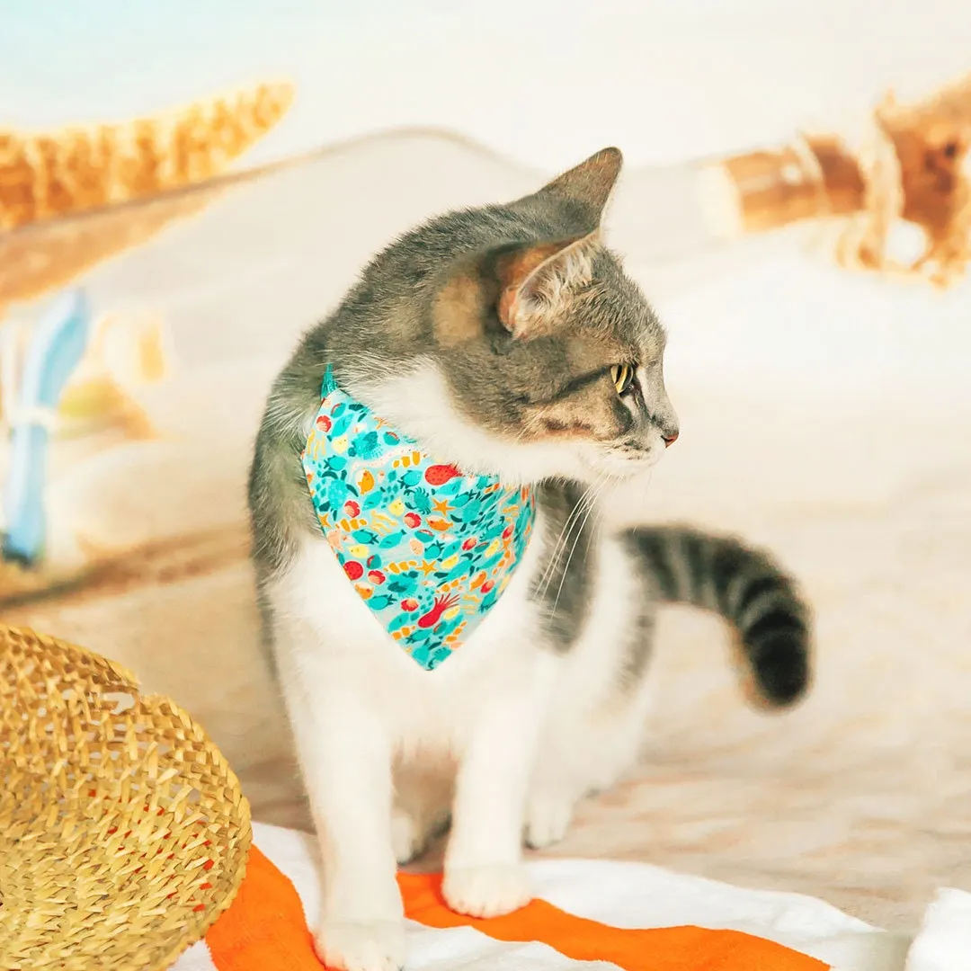 Pet Bandana - "Ocean Life" - Aquatic Fish Bandana for Cat   Small Dog / Summer, Beach, Sea, Marine / Slide-on Bandana / Over-the-Collar (One Size)