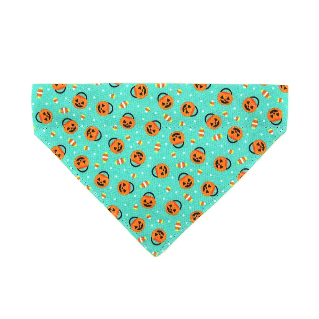 Pet Bandana - "Party Pumpkins" - Halloween Trick or Treat Jackolantern Bandana for Cat   Small Dog / Slide-on Bandana / Over-the-Collar (One Size)