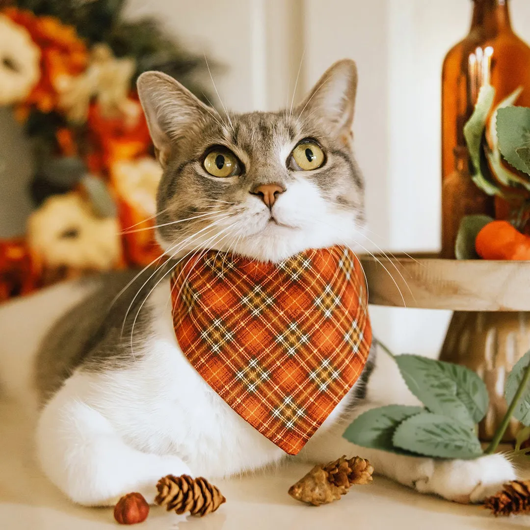 Pet Bandana - "Pecan Praline" - Burnt Orange Plaid Bandana for Cat   Small Dog / Wedding, Fall, Autumn, Thanksgiving / Slide-on Bandana / Over-the-Collar (One Size)