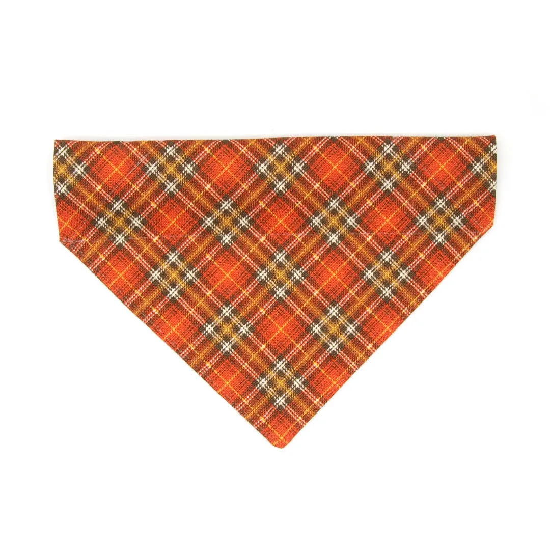 Pet Bandana - "Pecan Praline" - Burnt Orange Plaid Bandana for Cat   Small Dog / Wedding, Fall, Autumn, Thanksgiving / Slide-on Bandana / Over-the-Collar (One Size)