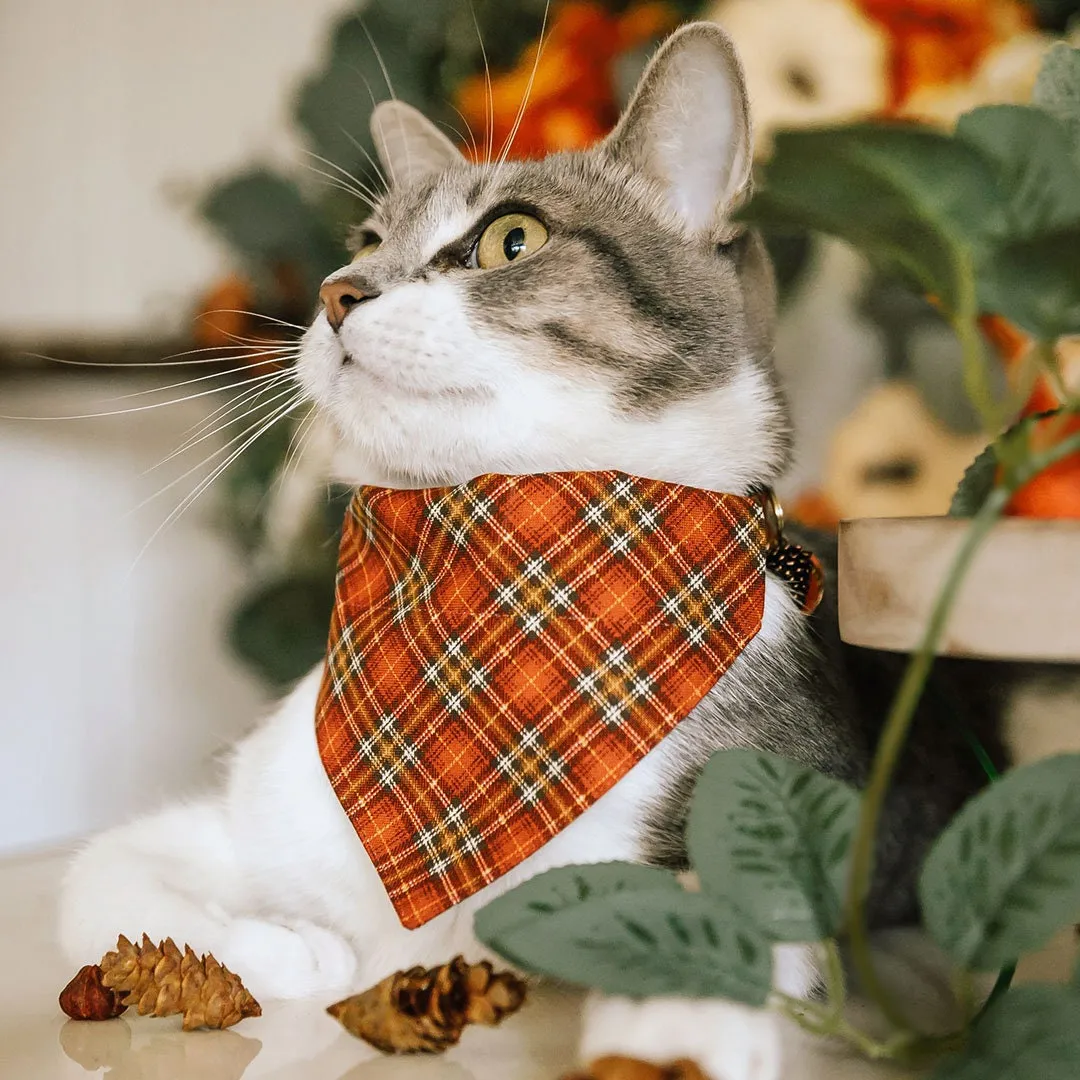 Pet Bandana - "Pecan Praline" - Burnt Orange Plaid Bandana for Cat   Small Dog / Wedding, Fall, Autumn, Thanksgiving / Slide-on Bandana / Over-the-Collar (One Size)