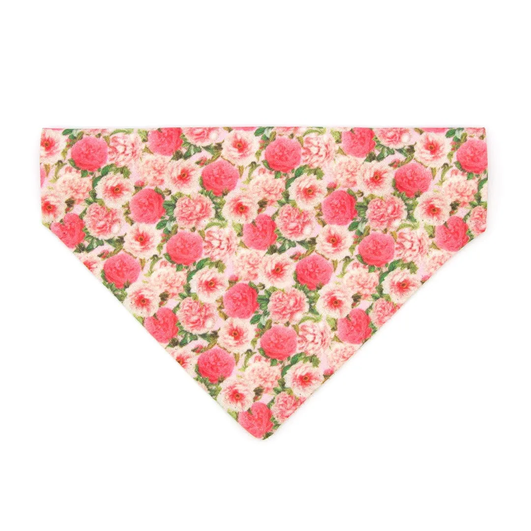 Pet Bandana - "Pretty in Peony - Pink" - Peonies Bandana for Cat   Small Dog / Slide-on Bandana / Over-the-Collar (One Size)