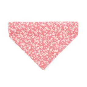 Pet Bandana - "Sakura" - Cherry Blossom Pink Bandana for Cat   Small Dog / Spring, Easter, Floral / Slide-on Bandana / Over-the-Collar (One Size)