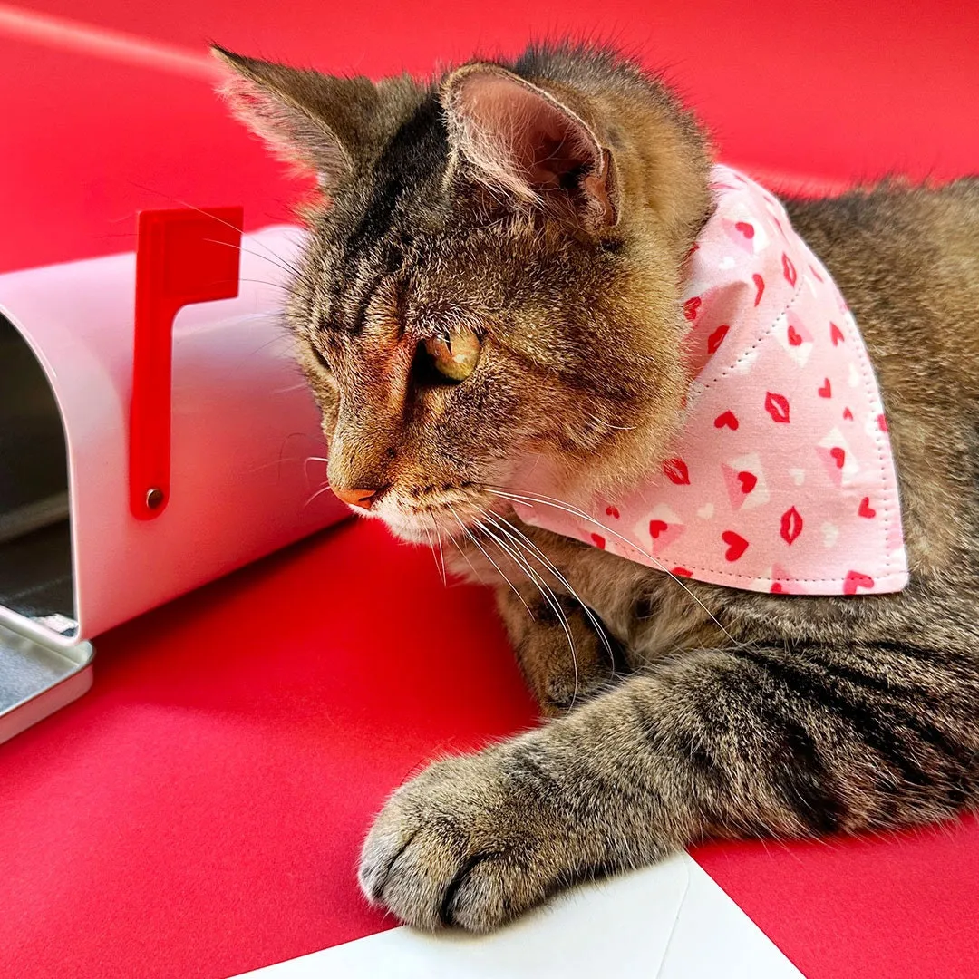 Pet Bandana - "Sealed With A Kiss" - Valentine's Day Bandana for Cat   Small Dog / Pink Love Letter Mail / Slide-on Bandana / Over-the-Collar (One Size)