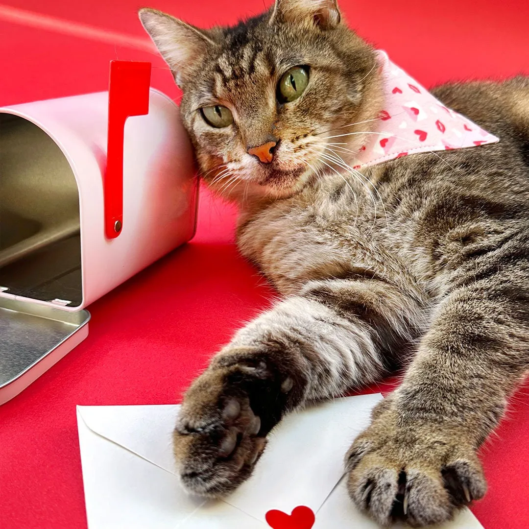 Pet Bandana - "Sealed With A Kiss" - Valentine's Day Bandana for Cat   Small Dog / Pink Love Letter Mail / Slide-on Bandana / Over-the-Collar (One Size)