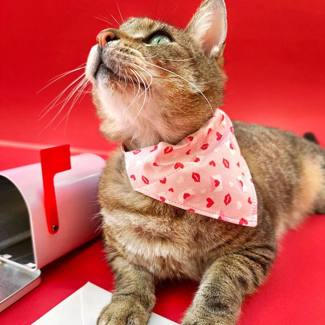 Pet Bandana - "Sealed With A Kiss" - Valentine's Day Bandana for Cat   Small Dog / Pink Love Letter Mail / Slide-on Bandana / Over-the-Collar (One Size)