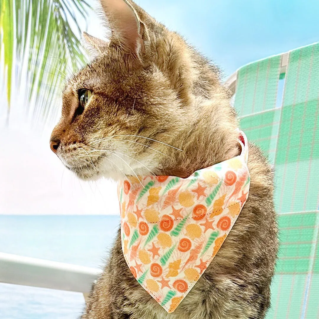 Pet Bandana - "Seashell Beach" - Peach, Aqua & Coral Pink Shell Bandana for Cat   Small Dog / Slide-on Bandana / Over-the-Collar (One Size)