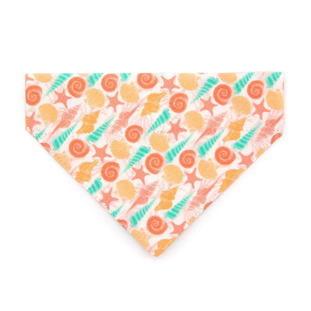 Pet Bandana - "Seashell Beach" - Peach, Aqua & Coral Pink Shell Bandana for Cat   Small Dog / Slide-on Bandana / Over-the-Collar (One Size)