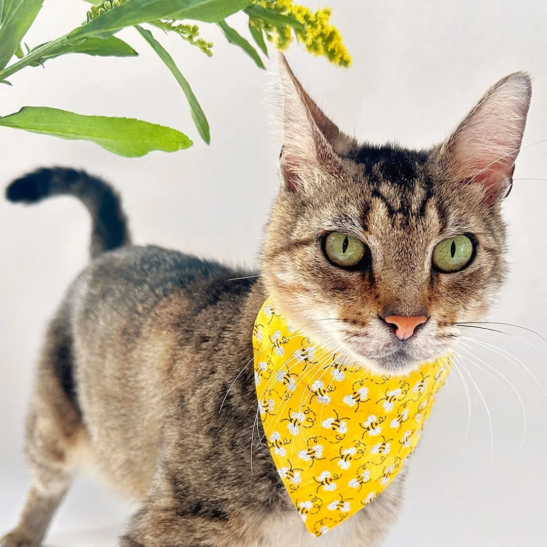 Pet Bandana - "Show Me The Honey" - Yellow Bee Bandana for Cat   Small Dog / Spring   Summer / Slide-on Bandana / Over-the-Collar (One Size)