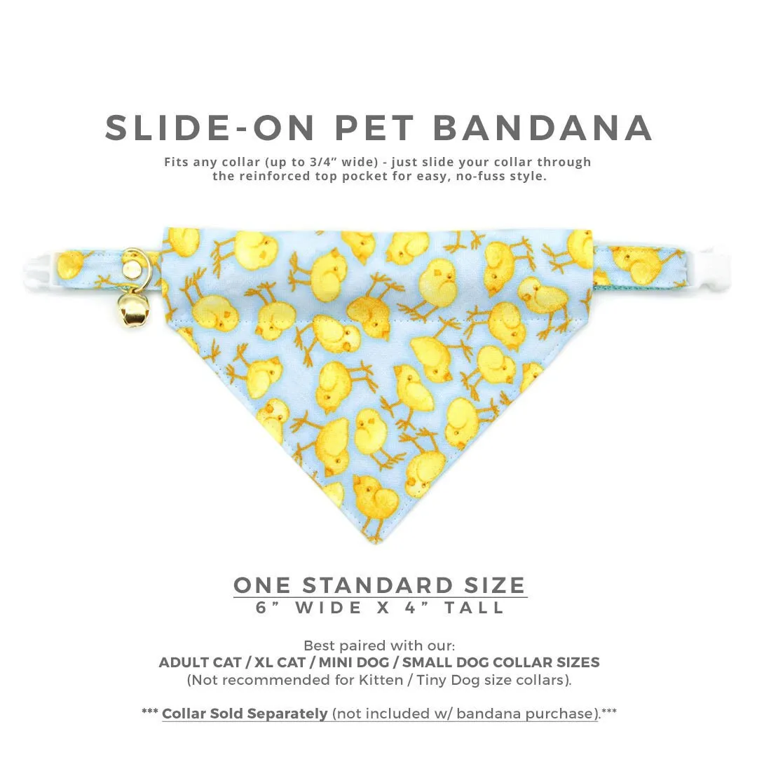 Pet Bandana - "Spring Chicks - Blue" - Easter Light Blue Bandana for Cat   Small Dog / Spring, Baby Chick / Slide-on Bandana / Over-the-Collar (One Size)