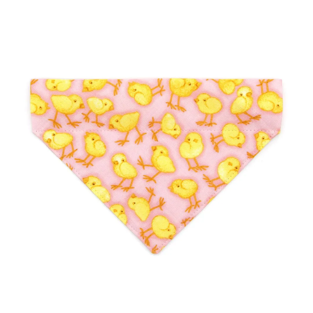 Pet Bandana - "Spring Chicks - Pink" - Easter Pink Bandana for Cat   Small Dog / Spring, Baby Chick / Slide-on Bandana / Over-the-Collar (One Size)