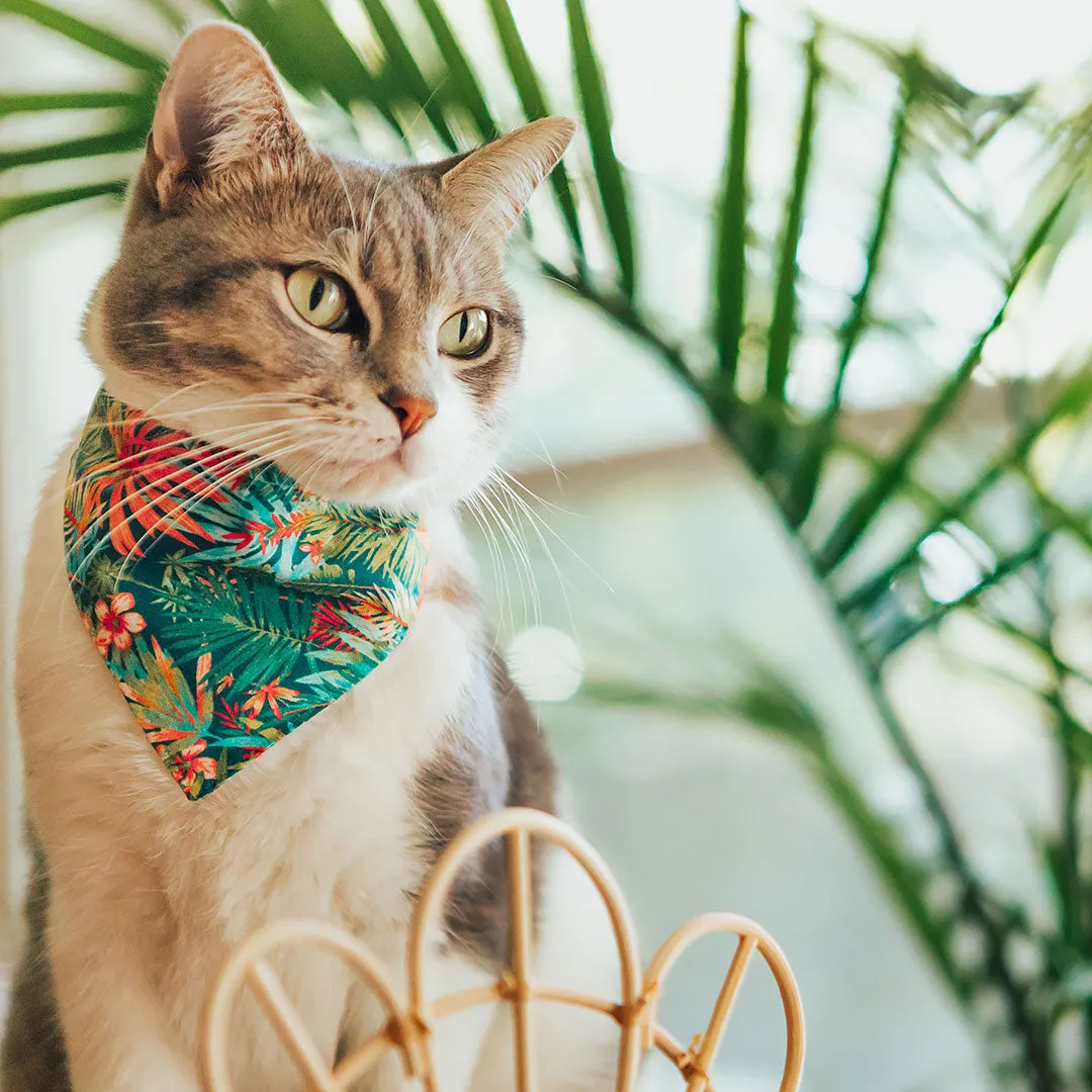 Pet Bandana - "Tropicalia" - Palm Tree Tropical Bandana for Cat   Small Dog / Slide-on Bandana / Over-the-Collar (One Size)