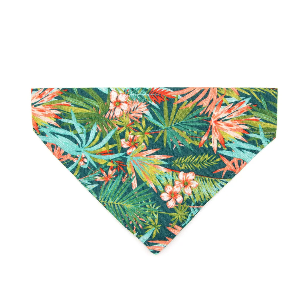 Pet Bandana - "Tropicalia" - Palm Tree Tropical Bandana for Cat   Small Dog / Slide-on Bandana / Over-the-Collar (One Size)