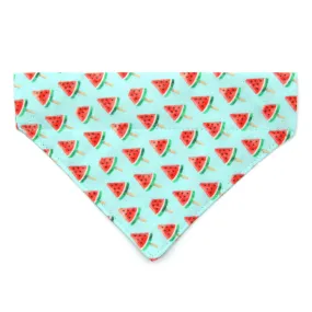 Pet Bandana - "Watermelon Pops" - Fruit Bandana for Cat   Small Dog / Food, Popsicle, Summer, Fun / Slide-on Bandana / Over-the-Collar