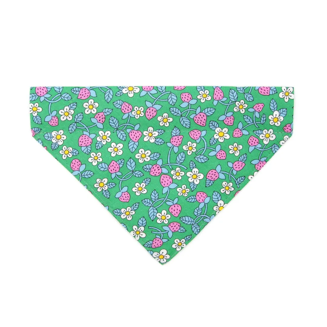 Pet Bandana - "Wild Strawberry - Mint" - Liberty of London® Jade Floral Bandana for Cat   Small Dog / Spring   Summer / Slide-on Bandana / Over-the-Collar (One Size)